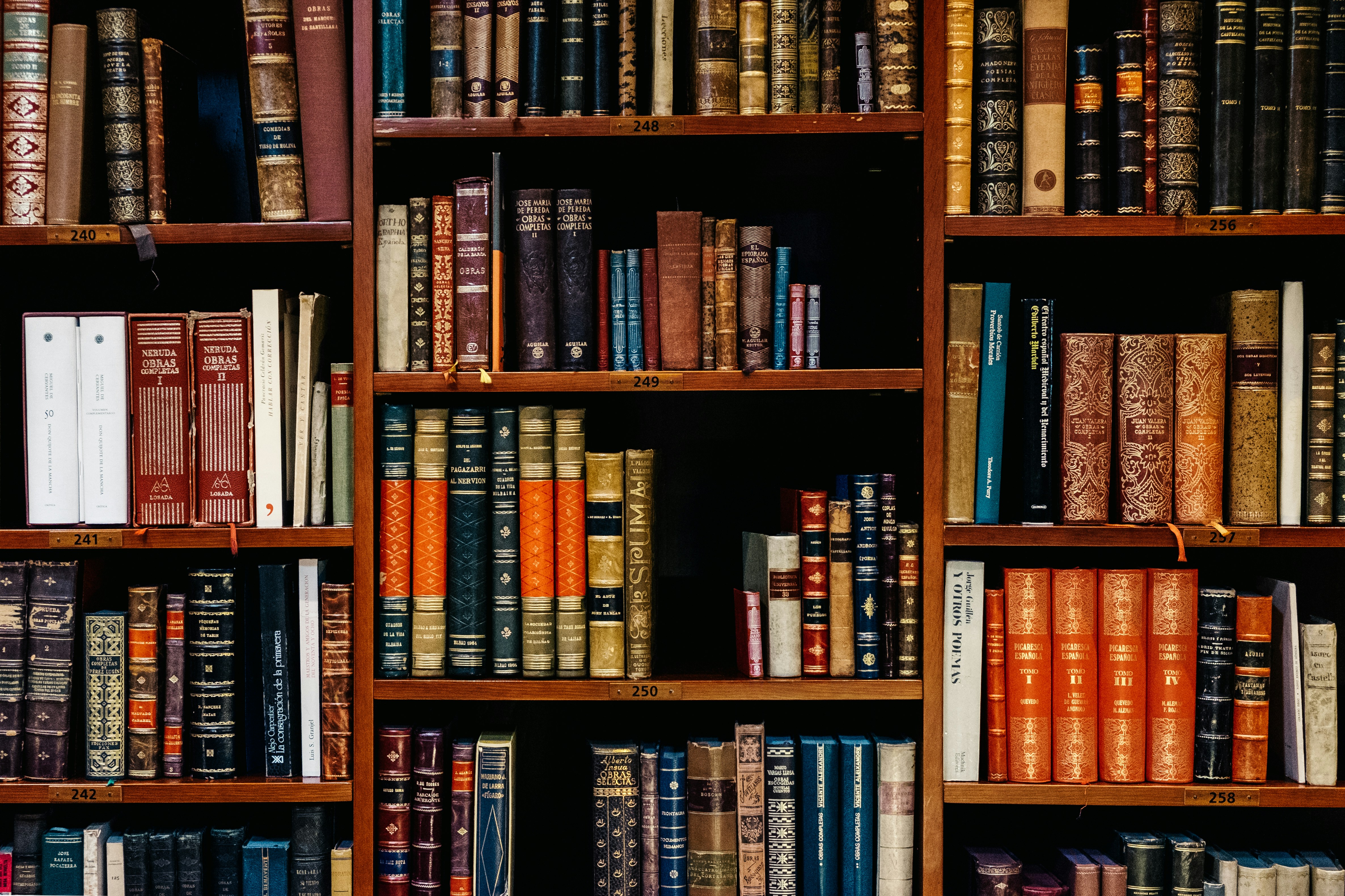 Buku-buku dan perpustakaan